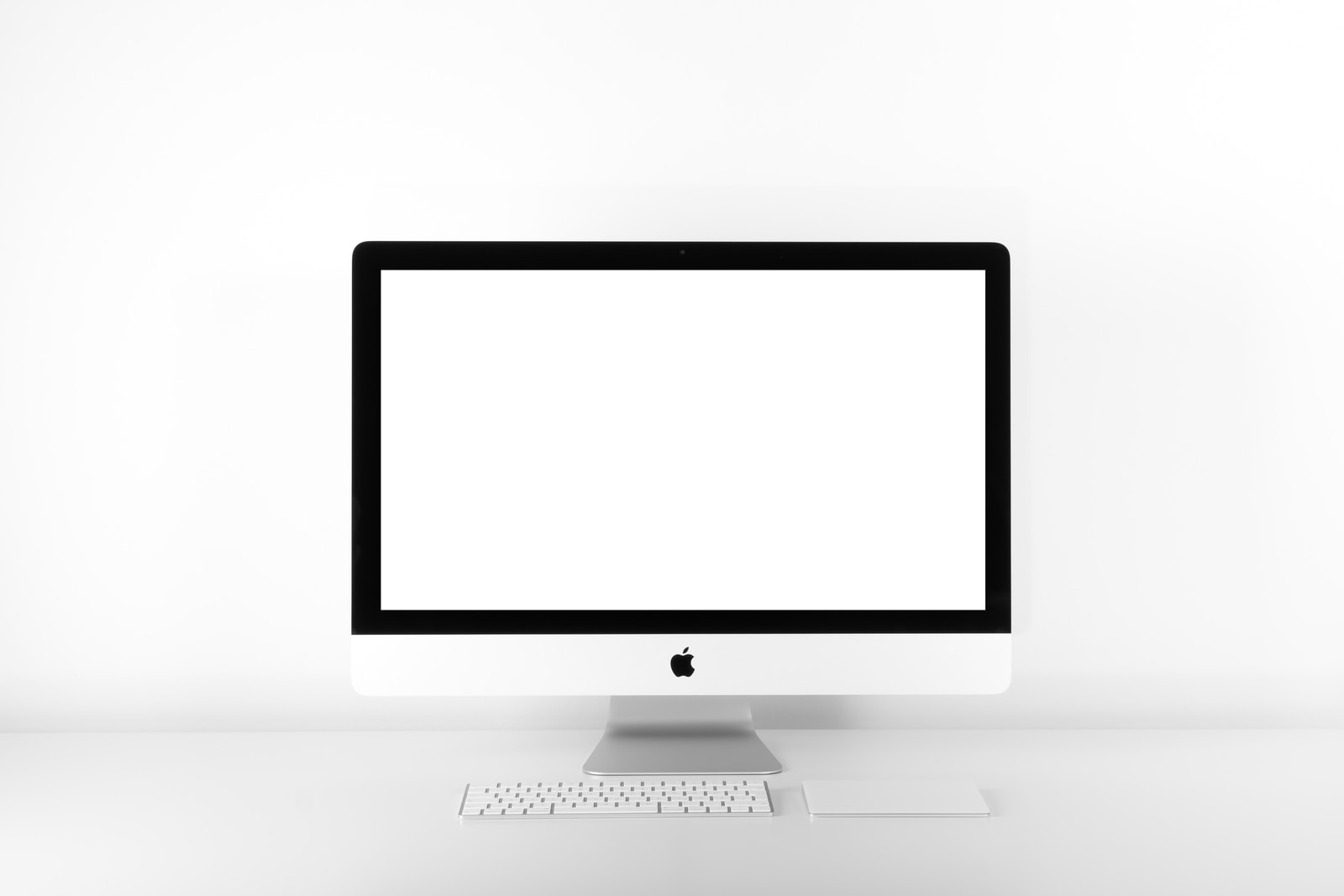White screen of death Wordpress